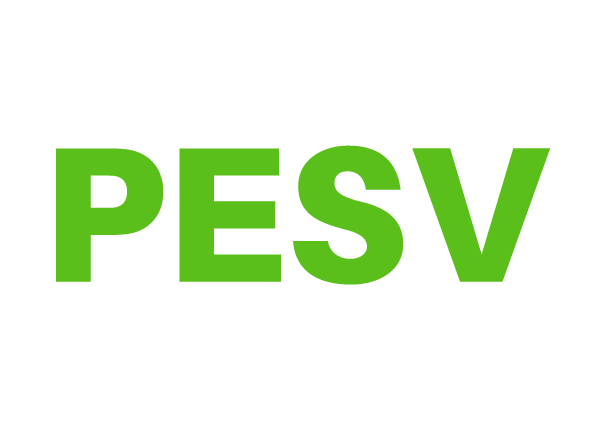Seguridad Vial PESV