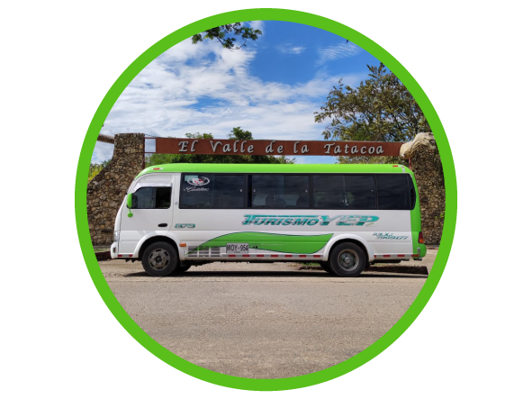 Transporte de Turismo